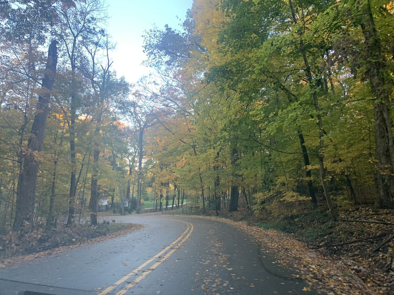 Snake Road fall colors